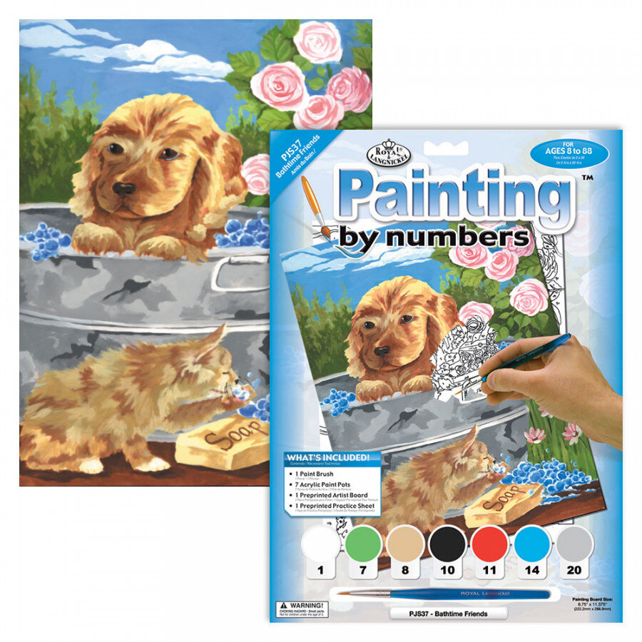Junior Paint By Numbers Bathtime Friends Clark Craft Products