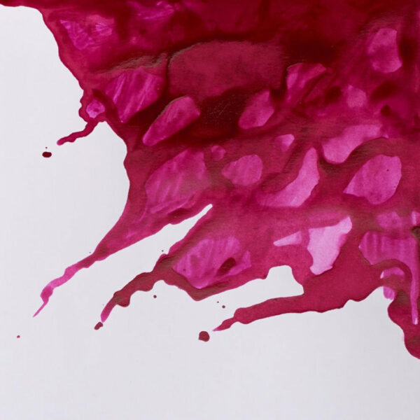 Winsor & Newton Drawing Ink Set - William Collection - Image 3