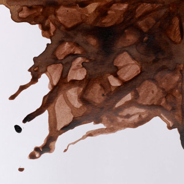 Winsor & Newton Drawing Ink Set - William Collection - Image 7