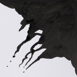 Winsor & Newton Drawing Ink Set - Henry Collection - Image 9