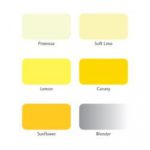 Letraset-ProMarker-Set-6-Yellows-PMBSBYEL-Shades-1.jpeg