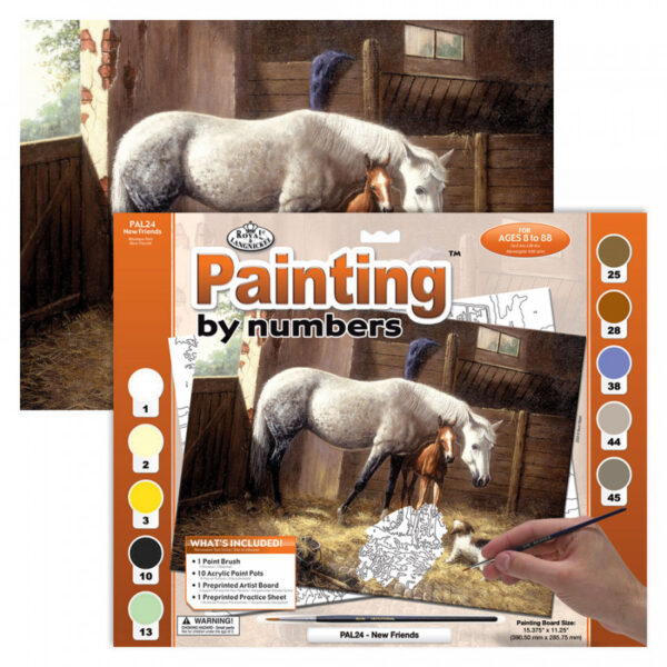 Adult Paint By Numbers New Friends