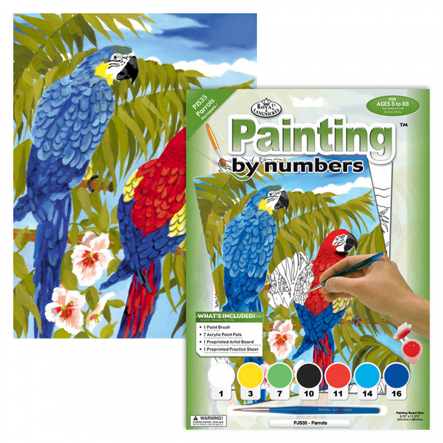 Junior Paint By Numbers Parrots Clark Craft Products
