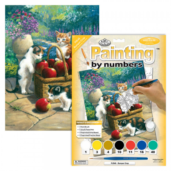 Junior Paint By Numbers Bumper Crop Clark Craft Products