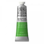 Winton-Oil-Tube-37ml.jpg