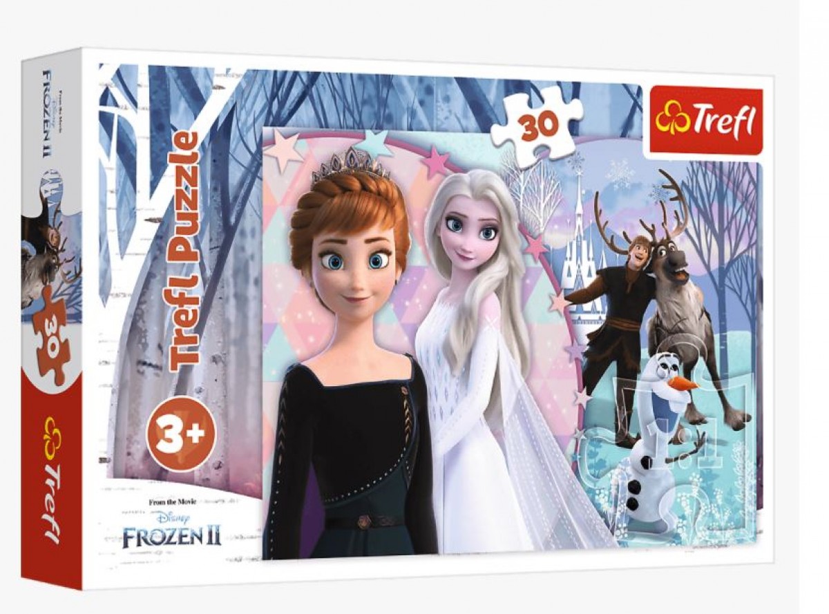 magical-frozen-jigsaw-puzzle-30-pieces.84156-2.fs_.jpg