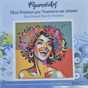 Mini Painting by Numbers 20x20cm with Afro Pop Art Woman Frame