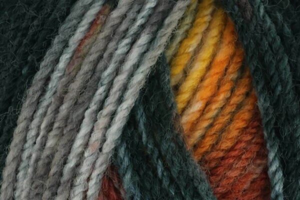 King Cole Bramble DK - Image 2