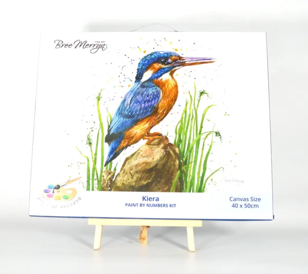 Bree Merryn Paint By Numbers 40 x 50cm