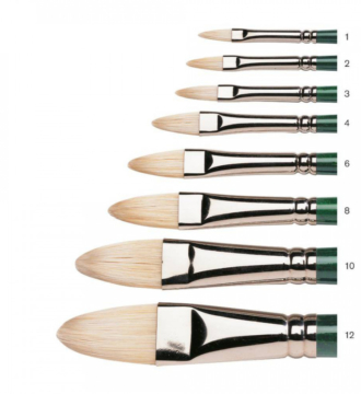 Winton Hog Brush Long Handle - Filbert