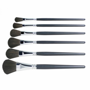 Pro Arte Students Wash Brush