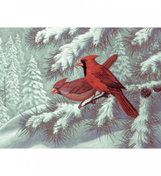 Adult Paint By Numbers Cardinals