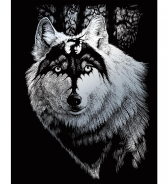 Royal & Langnickel Engraving Art  Silver  Dragon Wolf