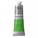 Winton Oil Colour 37ml Tube