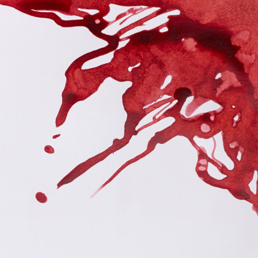 Winsor & Newton Drawing Ink 14ml - Image 5