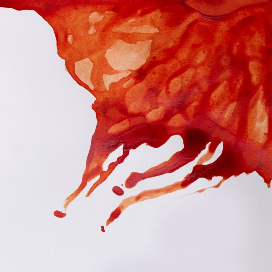 Winsor & Newton Drawing Ink 14ml - Image 7