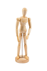 Jakar Male Moveable Wooden Manikin