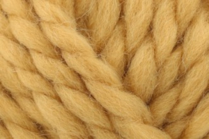 Rosarium - Golden Rose