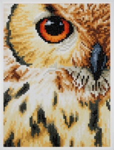 Diamond Painting Kit - Owl