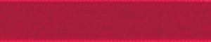 Velvet Ribbon 22mm