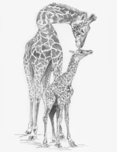 Sketching Made Easy Set - Giraffe & Baby