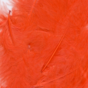 Feathers for crafts assorted sizes