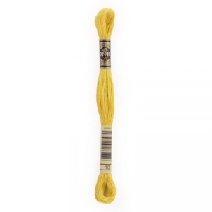 DMC Stranded Cotton 8m