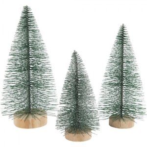 Christmas Spruce Trees