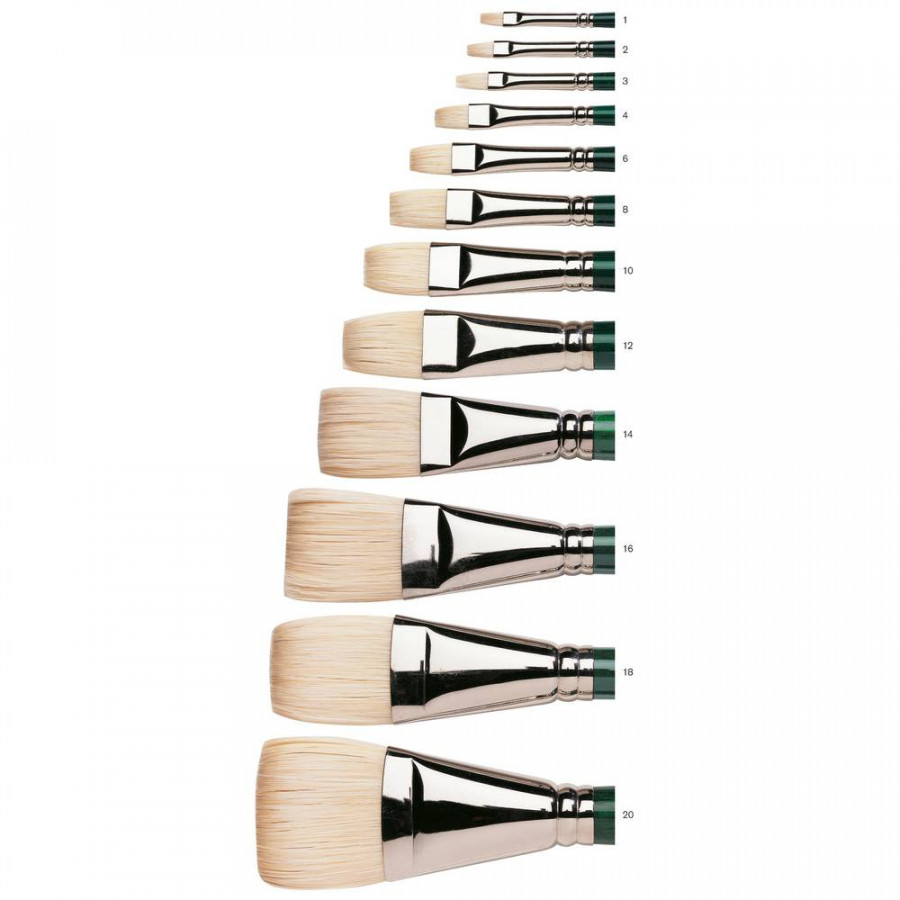 Winton Hog Brush Long Handle - Short Flat / Bright