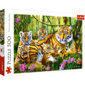 Jigsaw 500 Pieces