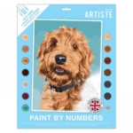 Docrafts Paint By Numbers
