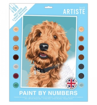 Docrafts Paint By Numbers