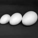 Polystyrene Egg