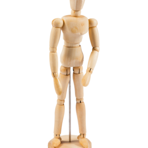 Jakar Male Moveable Wooden Manikin