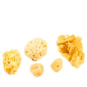 Natural Sea Sponge Assorted Pack (4-6 Sponges)