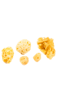 Natural Sea Sponge Assorted Pack (4-6 Sponges)