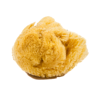 Artists' Natural Sea Sponge - Large