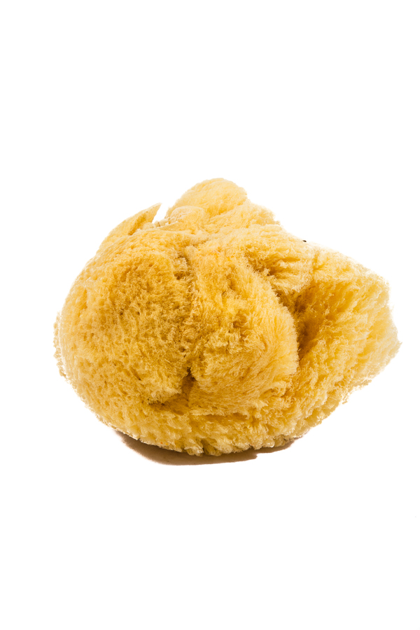 Artists' Natural Sea Sponge - Large
