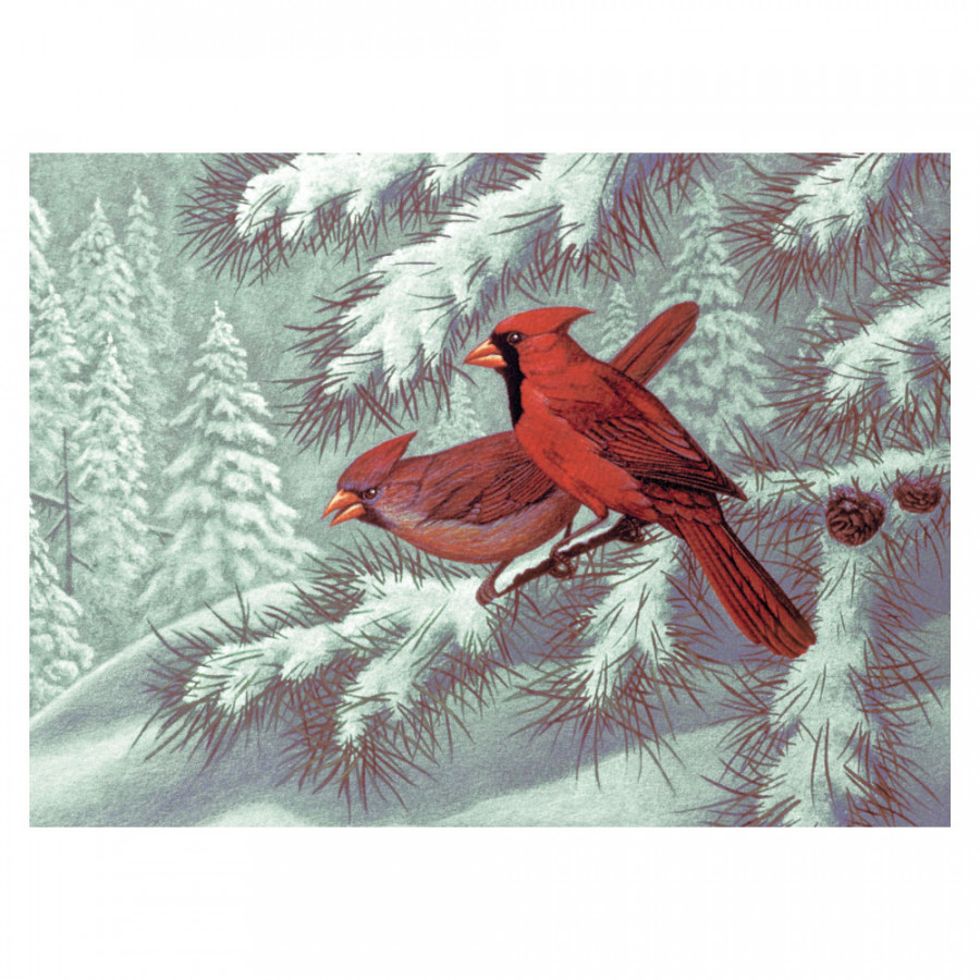 Adult Paint By Numbers Cardinals