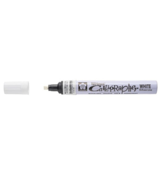 Pen Touch Calligrapher