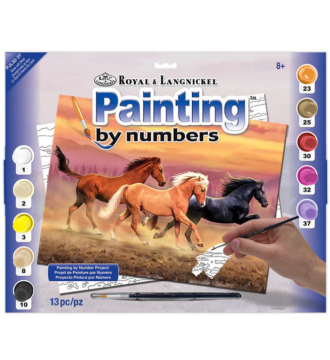 Royal & Langnickel Painting By Numbers