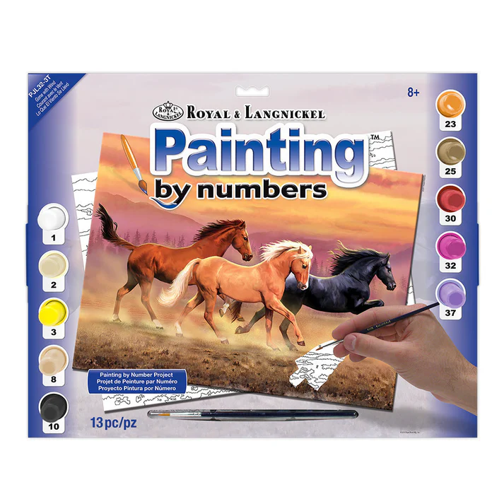 Royal & Langnickel Painting By Numbers