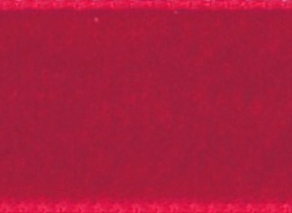 Velvet Ribbon 22mm