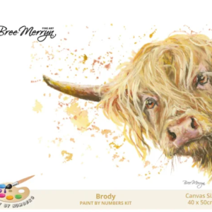 Bree Merryn Paint By Numbers 40 x 50cm