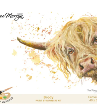 Bree Merryn Paint By Numbers 40 x 50cm