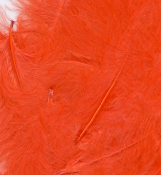 Feathers for crafts assorted sizes