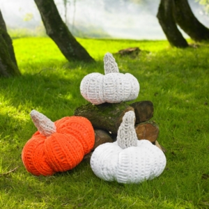 James.C.Brett Intermediate Knit - JB953