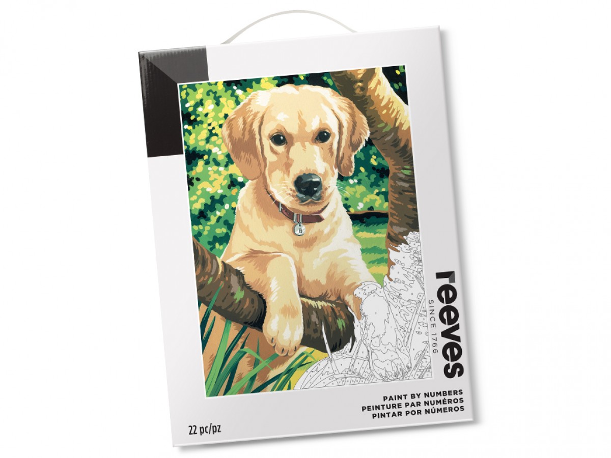 Reeves Paint by Numbers - Labrador