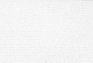 Makower Essentials Mini Leaf Fabric SOLD BY THE METRE