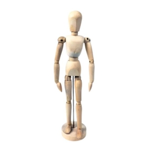 Anatomical Figures & Manikins